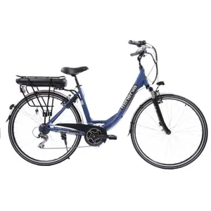 Bicicleta eléctrica Minerva D-AL-EBK R49 C07 F image-0
