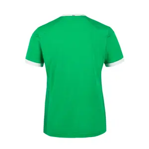 Home jersey ASSE 2020/21 image-1