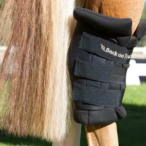 Beskyttere til haser Back on Track royal image-3