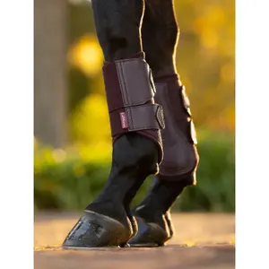 Zamknięte buty dla koni LeMieux Arika Mesh Brushing image-3