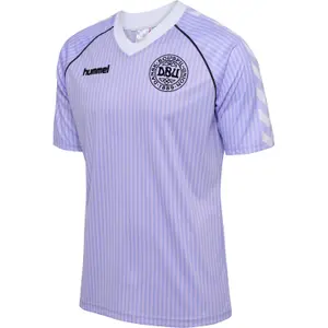 222880-3389-maillot-del-portero-de-dinamarca-86-purpura