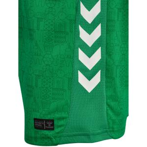 Thuisshirt kind ASSE 2025/26 image-5