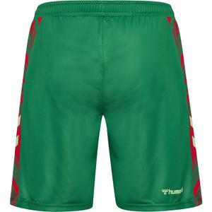 FC Magdeburg Home Shirt 2025/26 image-1