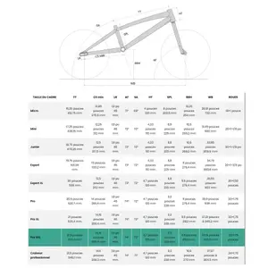 Bike Chase Edge Pro 2025 image-3