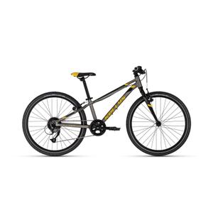 Kinderfahrrad Kellys Kiter 90 11