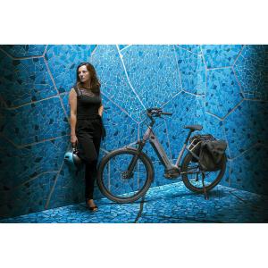 Elektrofahrrad Sunn Skill 500 Shimano Altus M2000 SGS 9V image-2