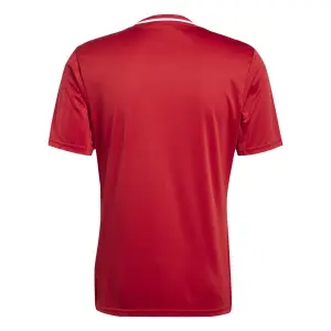 Maglia adidas Campeon 25 image-4
