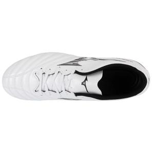 product/2/0/2025_10_mizuno_p1ga242509_2.jpg