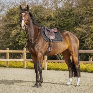 Podkładka pod siodło dla koni QHP Firenze image-4