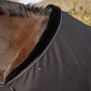 Πολικό κουβέρτο για άλογο QHP Salerno image-3