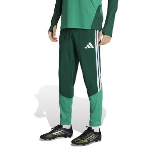 Pantalón de entrenamiento Argelia Coupe du Monde 2026 image-1