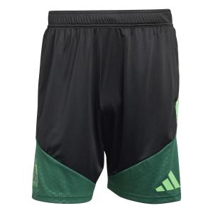 Mexico training shorts Tiro 26