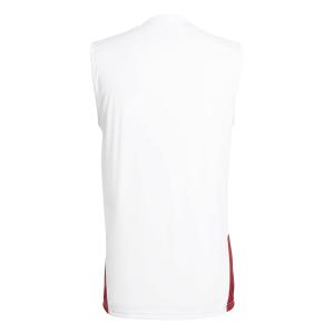 Maillot sans manches Allemagne Coupe du Monde 2026 image-1