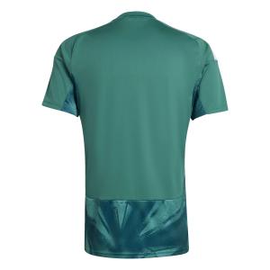 Maillot de gardien Domicile Allemagne Coupe du Monde 2026 image-4