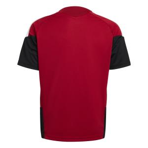 Maillot d'entraînement enfant Allemagne Tiro Coupe du Monde 2026 image-5