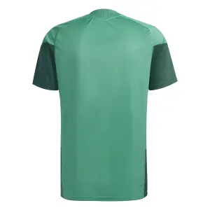 Maillot d'entraînement Algérie Coupe du Monde 2026 image-1
