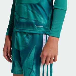 Heimtrikot mit langen Ärmeln Torwart Kinder Deutschland Coupe du Monde 2026 image-5