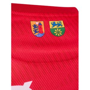 Långärmad tröja SG Flensburg-Handewitt GK image-5