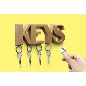 Wall decoration Qualy Keys