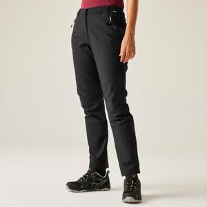 Damesbroek Regatta Questra V image-3