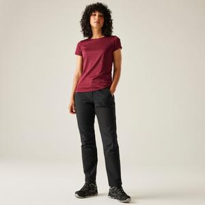 Damesbroek Regatta Questra V image-5