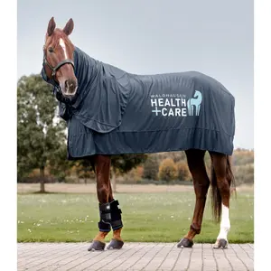Κάλυμμα για άλογο Waldhausen Ice layer W-Health & Care image-6