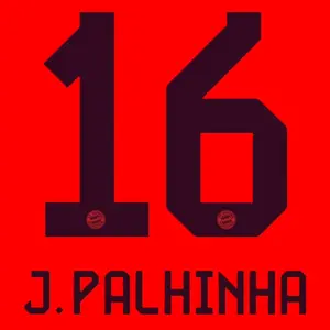 Flokowanie domu Bayern Munich Bundesliga PALINHA #16 2024/25 image-0