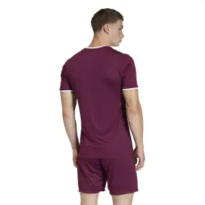 Maglia adidas Entrada26 image-3