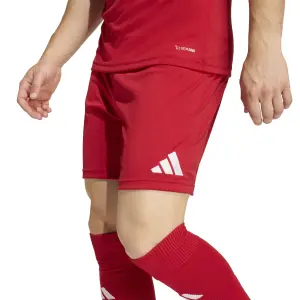 Short adidas Entrada 26 image-5