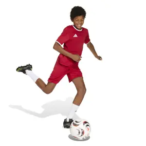 Children's jersey adidas Entrada26 image-4