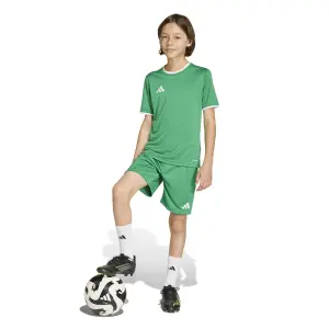 Camiseta infantil adidas Entrada26 image-5