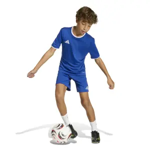 Shorts per bambini adidas Entrada 26 image-1