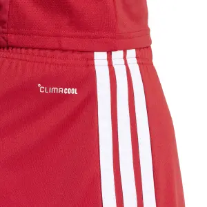 Shorts adidas Tiro 26 League image-5
