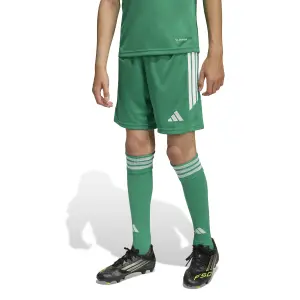 Children's shorts adidas Tiro 26 League image-1