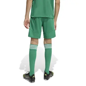 Children's shorts adidas Tiro 26 League image-4