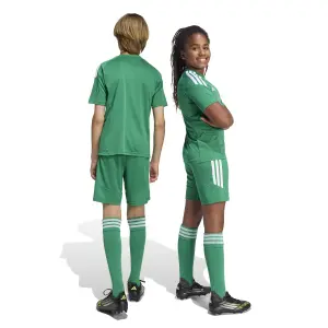 Children's shorts adidas Tiro 26 League image-5