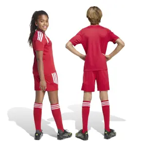 Short enfant adidas Tiro 26 League image-5