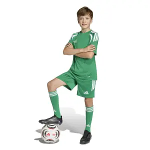 Kindertrikot adidas Tiro26 League image-4