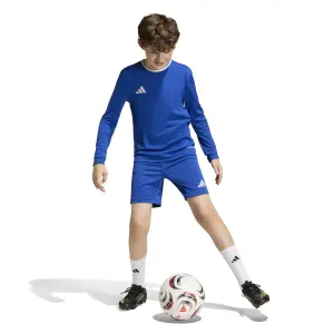 Kids' Long Sleeve Jersey adidas Entrada26 image-4