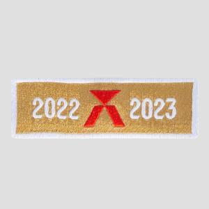 Champions-League-Abzeichen 2022/23