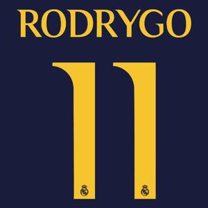 Flocking away / third Real Madrid Ligue des Champions RODRYGO #11 2023/24