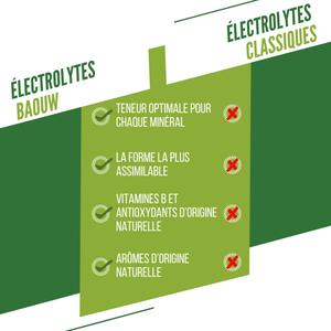 Elektrolyter Baouw Citron Vert (x10) image-5