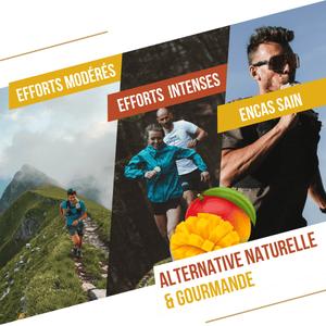 Energi gel Baouw Mangue Gingembre image-3