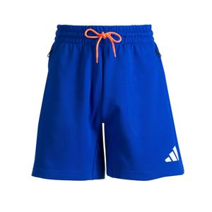 Training Shorts France 2025/26