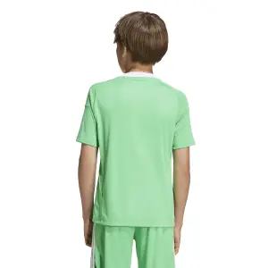 Arsenal derde keepershirt lange mouwen kind 2025/26 image-3