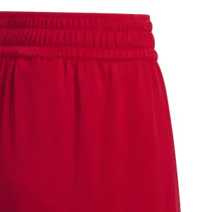 Shorts für Kinder adidas Everyday Pro image-5