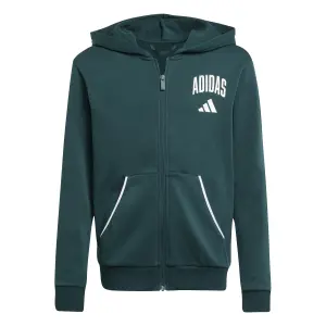 Hoodie med dragkedja för barn adidas Essentials Collegiate Typography image-0