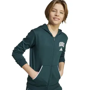 Hoodie med dragkedja för barn adidas Essentials Collegiate Typography image-3