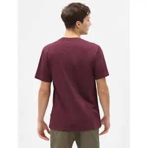T-shirt κοντομάνικο Dickies Mapleton image-1