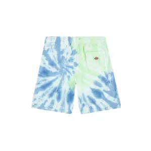 Short Dickies Seatac image-1